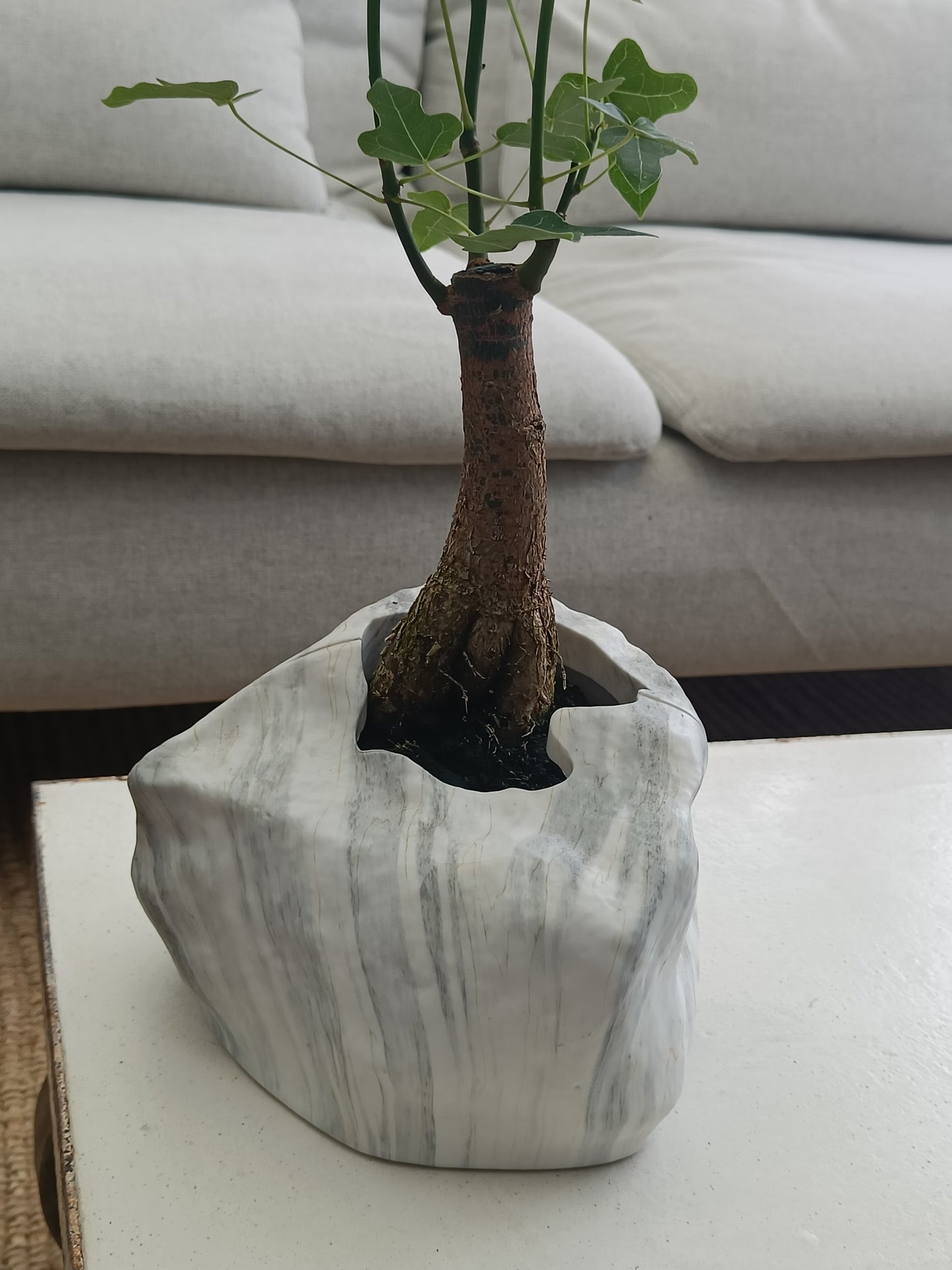 Back to nature - Potte "Botanyia"