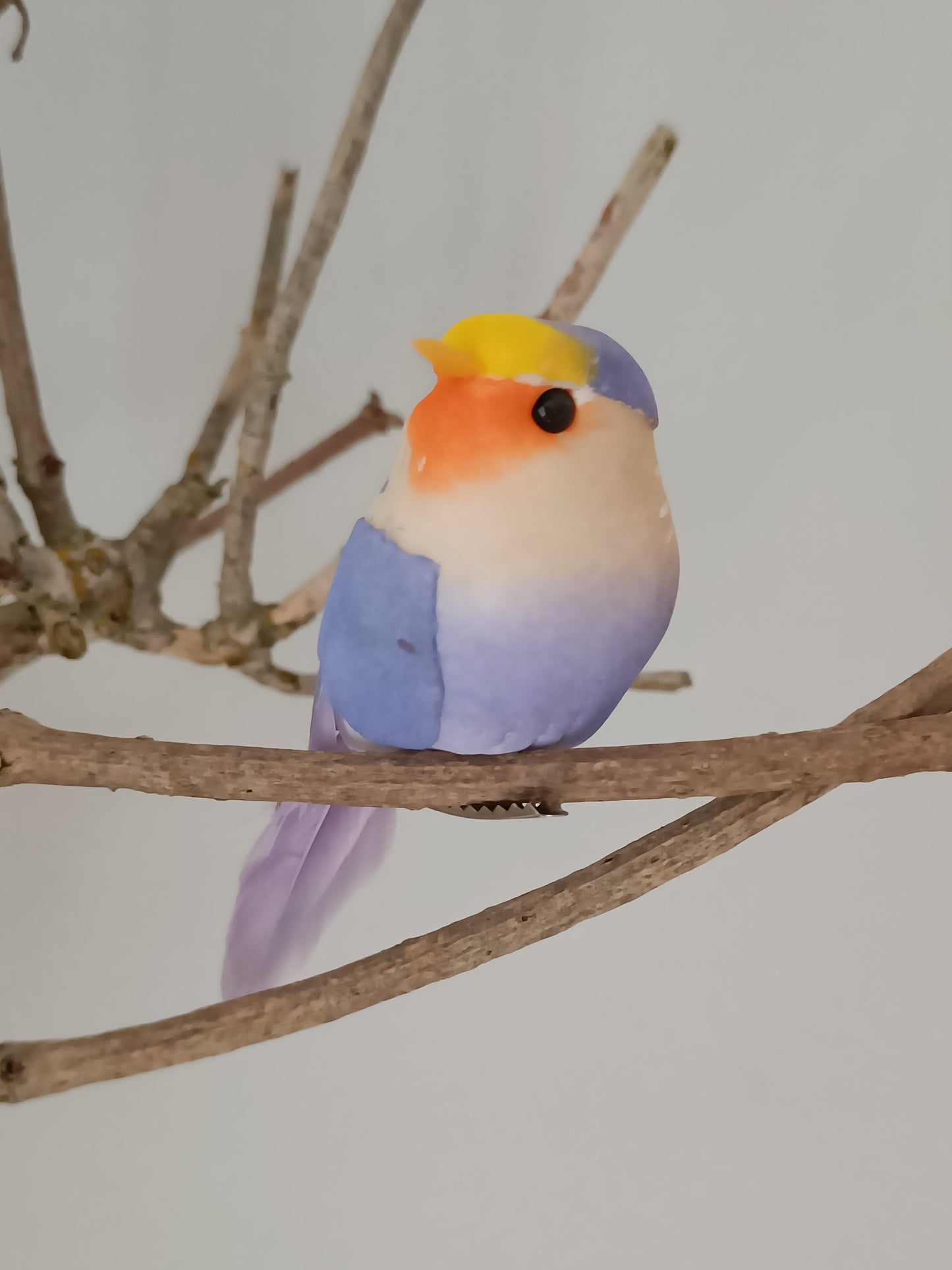 Pip fugl