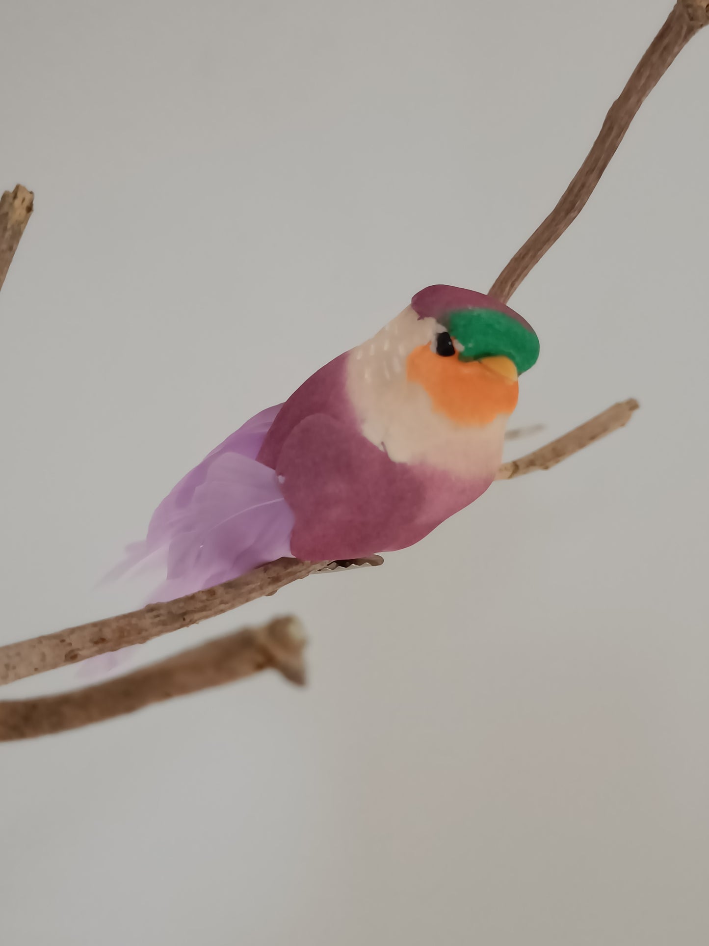 Pip fugl