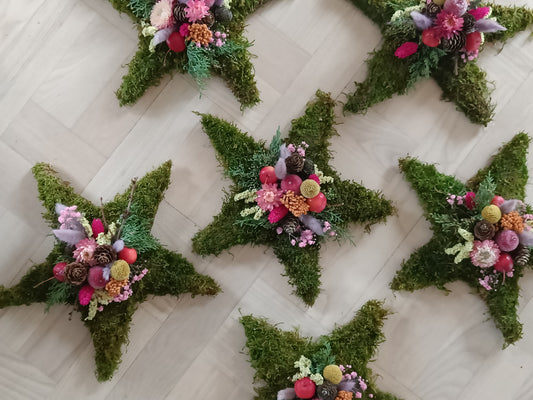 Til en stjerne i himlen ⭐